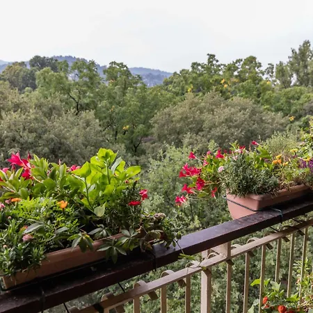فندق مبيت وإفطار La Terrazza Sul Po