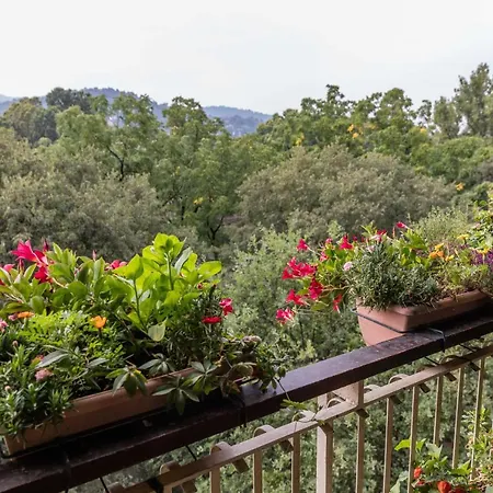 Bed & Breakfast La Terrazza Sul Po Turin