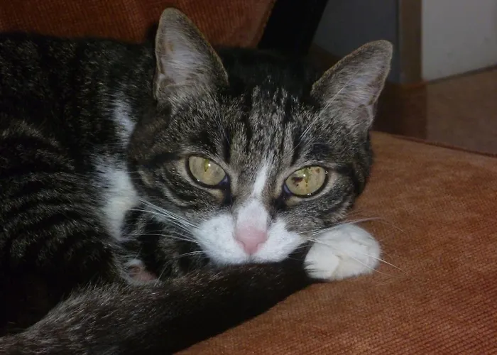 La Terrazza Sul Po 3*