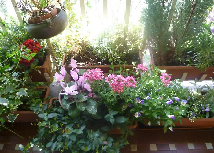 La Terrazza Sul Po Turín