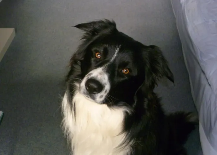 La Terrazza Sul Po Bed & Breakfast 3*