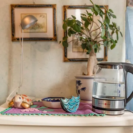 La Terrazza Sul Po Bed and Breakfast Τορίνο