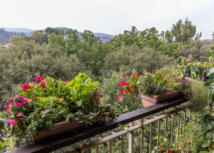 Bed & Breakfast La Terrazza Sul Po
